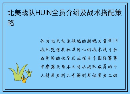 北美战队HUIN全员介绍及战术搭配策略